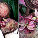 Illustration for article titled These Gorgeous Planters Made From Reclaimed Furniture Are Truly Gothic